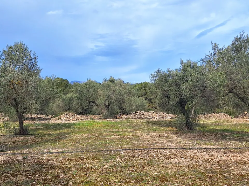 Helårsgrund i Ginestar, Tarragona - foto 3